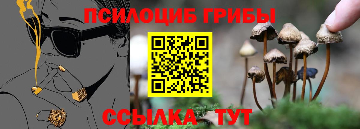 Галлюциногенные грибы MAGIC MUSHROOMS  Вход с VPN  Бугульма 